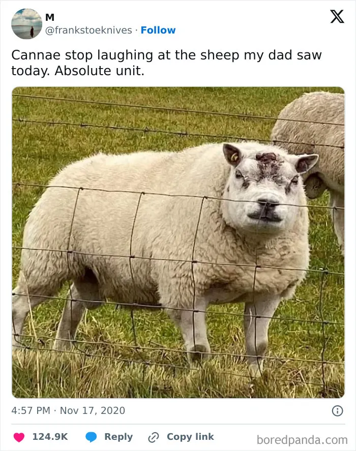 50 Hilarious UK Memes That Prove British Humor Is One Of A Kind