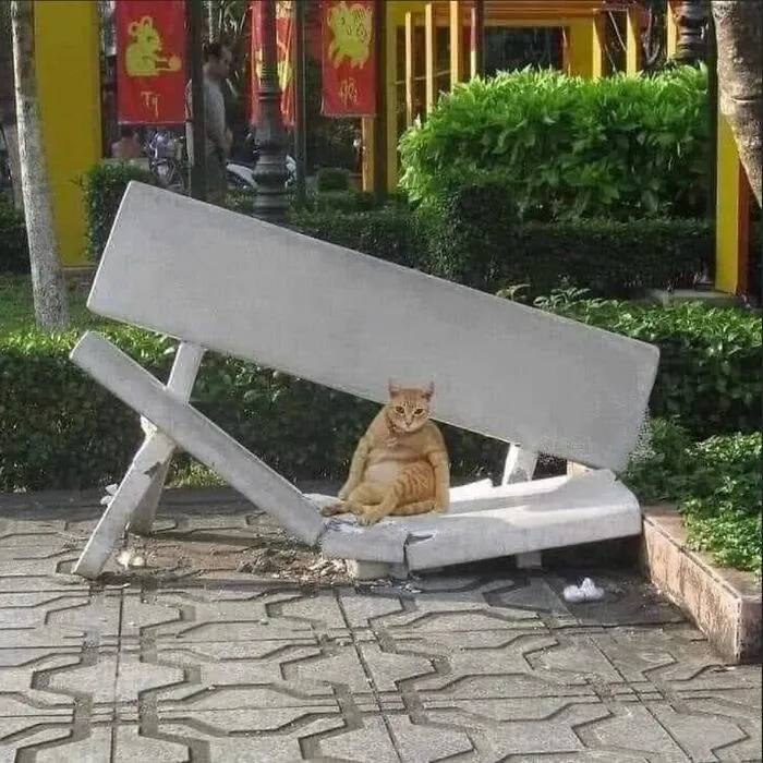 50 Hilariously Chaotic Animal Pics That Slap Harder Than Your Cat While You’re Asleep (New Pics)