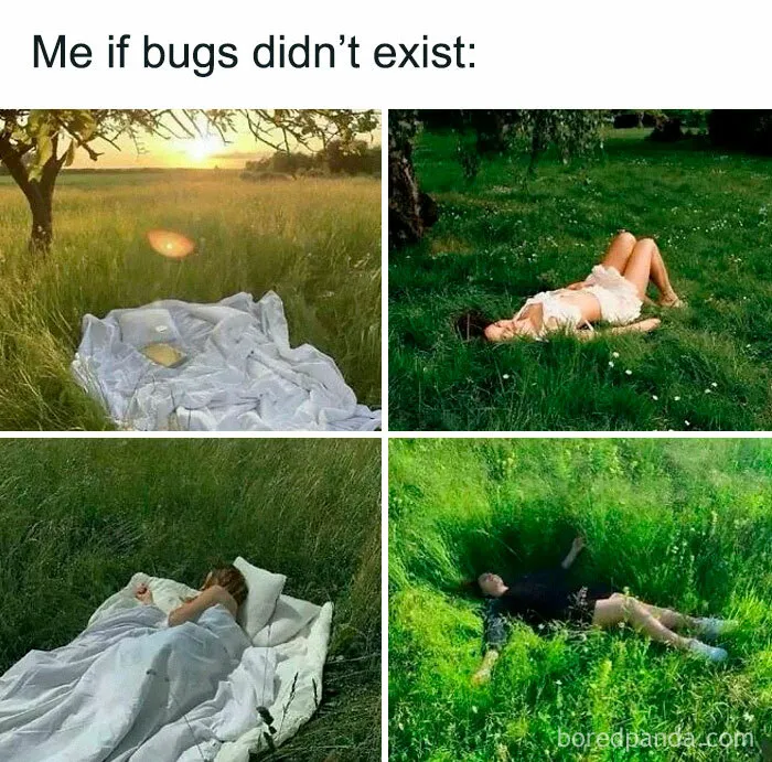This Instagram Page Nails Antisocial Humor, Here Are 50 Of Their Best Memes