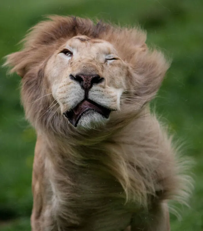 I Took 35 Stunning Wildlife Photos Just Two Kilometers From Home