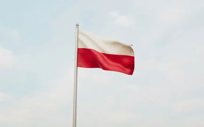 Flagpole with a red and white flag waving against a clear sky, symbolizing family flexes and pride.