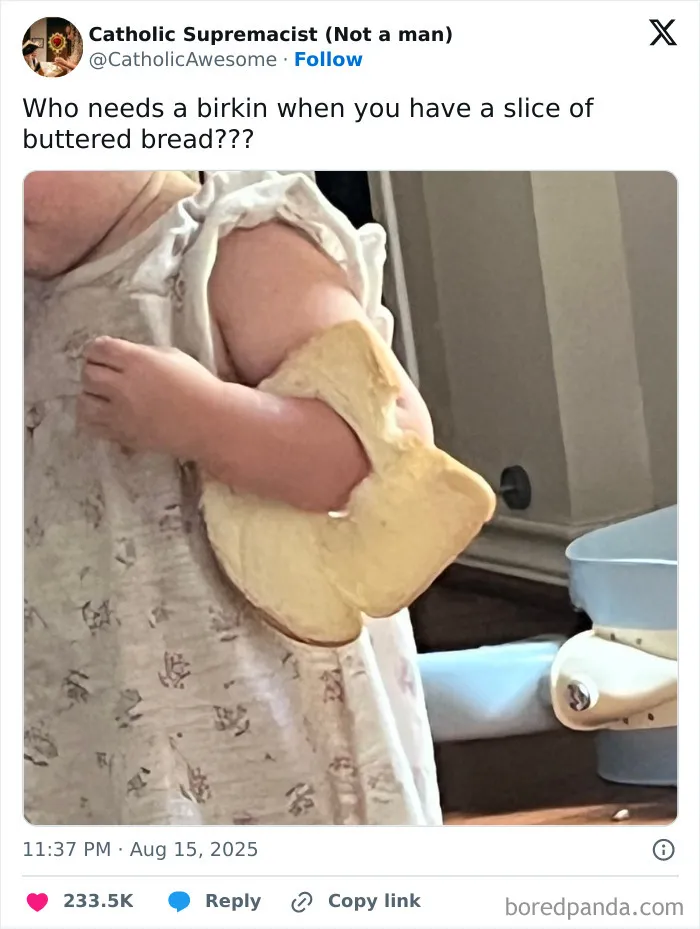 50 Hilarious Tweets That Helped Us Collectively Survive This August