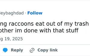 50 Hilarious Tweets That Helped Us Collectively Survive This August