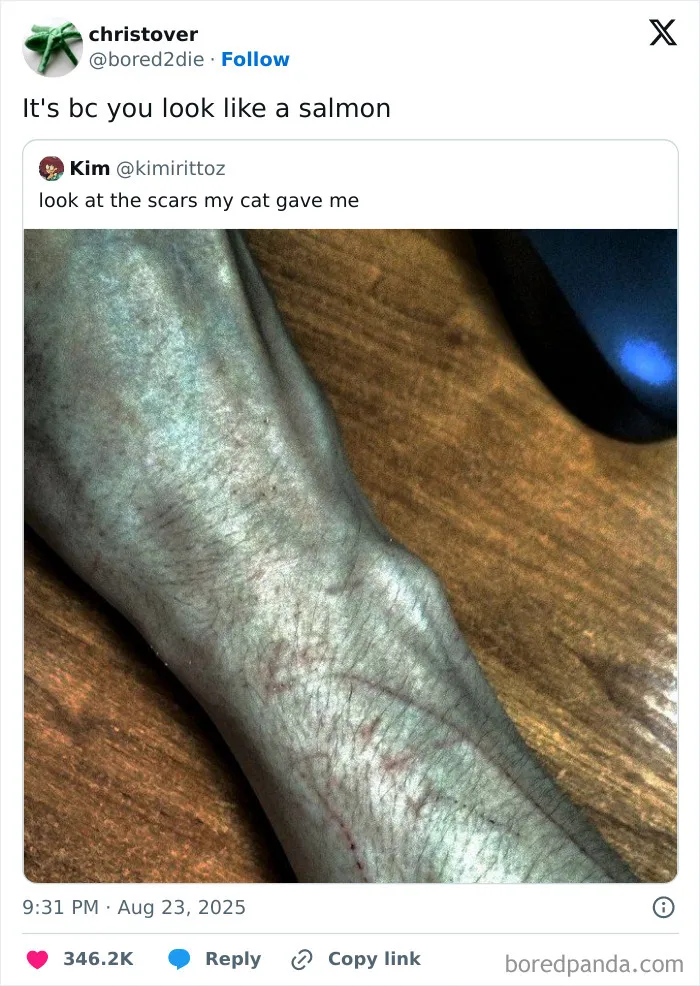 50 Hilarious Tweets That Helped Us Collectively Survive This August