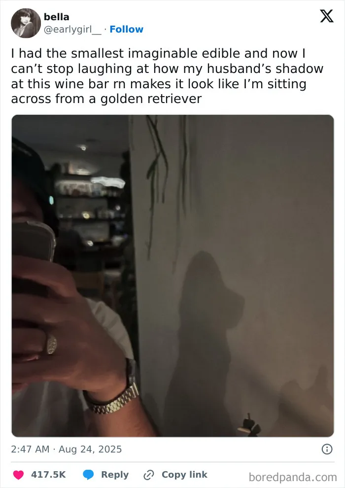 50 Hilarious Tweets That Helped Us Collectively Survive This August