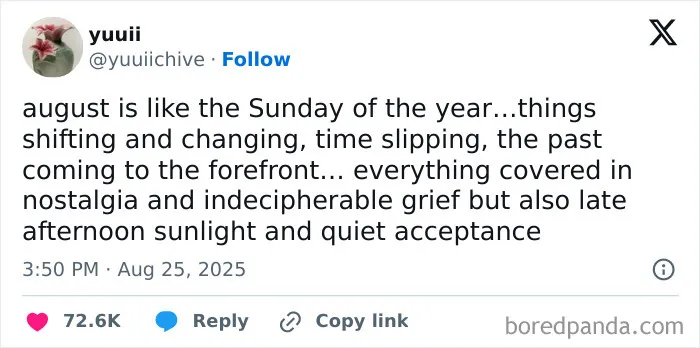 50 Hilarious Tweets That Helped Us Collectively Survive This August