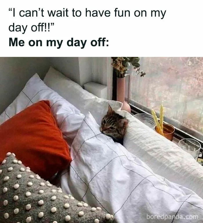 50 Hilariously Relatable Memes You’d Probably Want To Tag Your Best Friend In (New Pics)