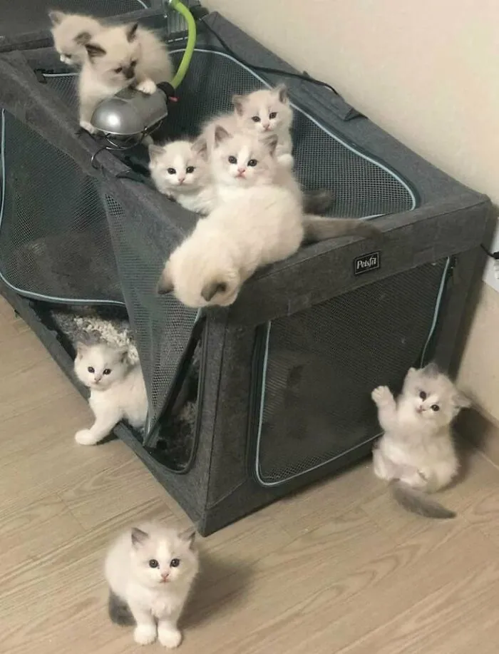Tesoritos ❤️