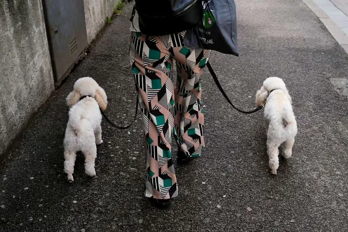 Photographer Captures 50 Of Life’s Unseen, Unposed Moments On The Streets