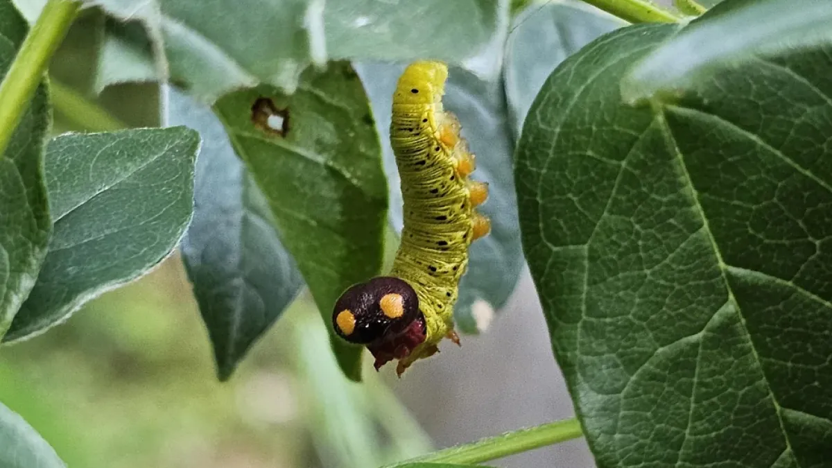 27 Unfiltered Fun Facts About Animals Being Total Weirdos