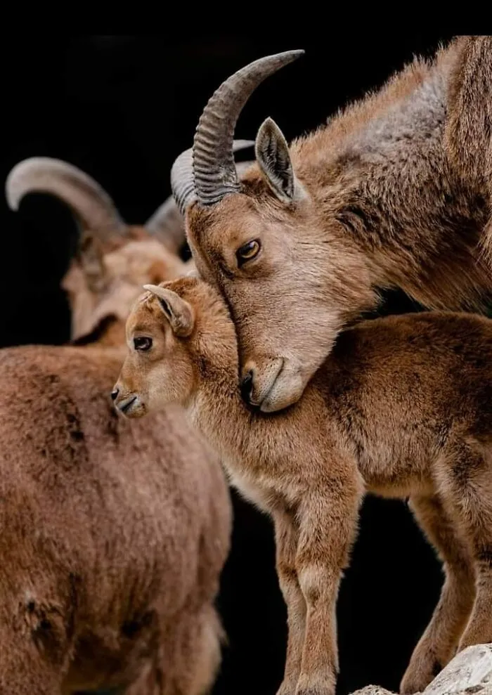I Took 35 Stunning Wildlife Photos Just Two Kilometers From Home