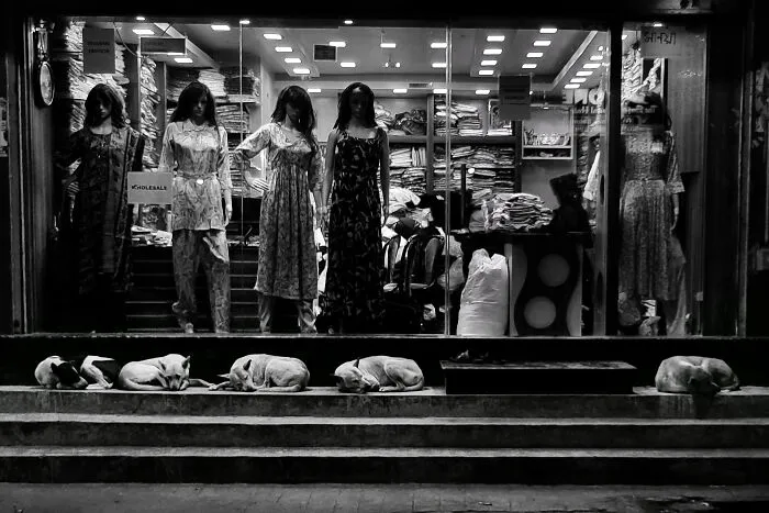 My 30 Photos Showcasing Streetscapes And Candid Moments