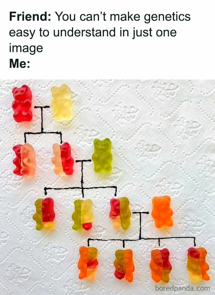 This Instagram Page Nails Antisocial Humor, Here Are 50 Of Their Best Memes
