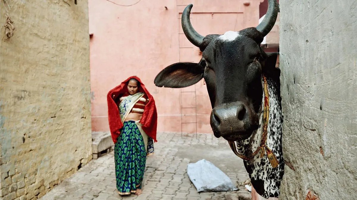 50 Street Photos Showcasing The Unexpected Beauty Of Real Life By Gil Kreslavsky