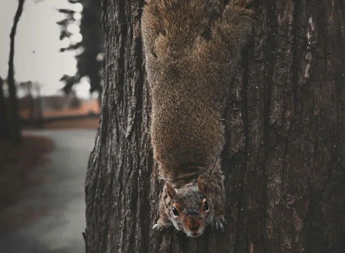 39 Unnerving Encounters That People Say Will Stay With Them Forever