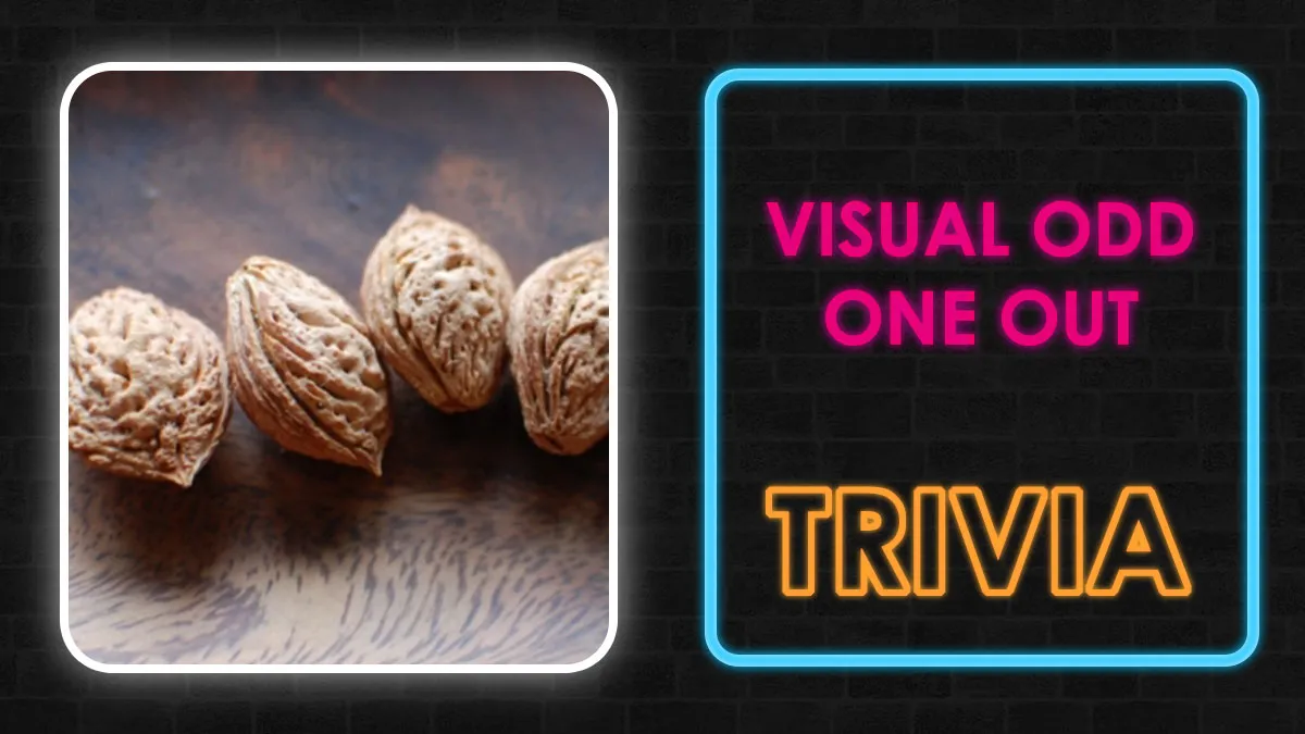 If You Can Pick The Odd One Out In These 25 Pictures, You Have Incredible Attention To Detail
