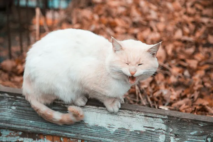 28 Of The Creepiest Yet True Stories About The Most Daunting Sounds Ever Heard By Folks At Night