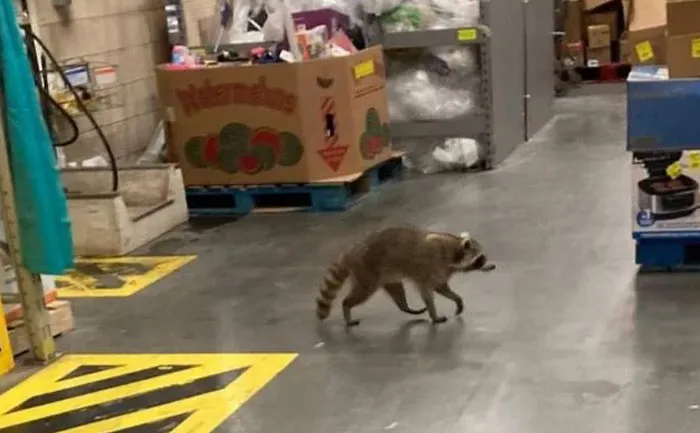 Only At Walmart: 43 Crazy Stories Employees Actually Witnessed While Working At Walmart
