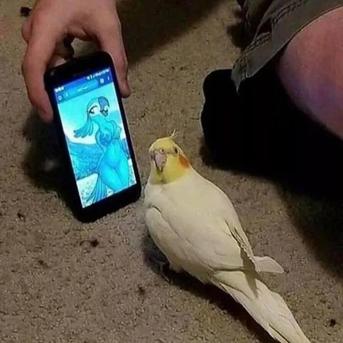 50 Cursed Images That Are Hard To Look At But Harder To Ignore (New Pics)