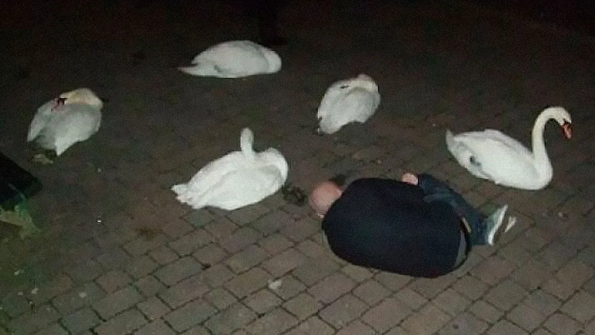 50 Cursed Images That Are Hard To Look At But Harder To Ignore (New Pics)