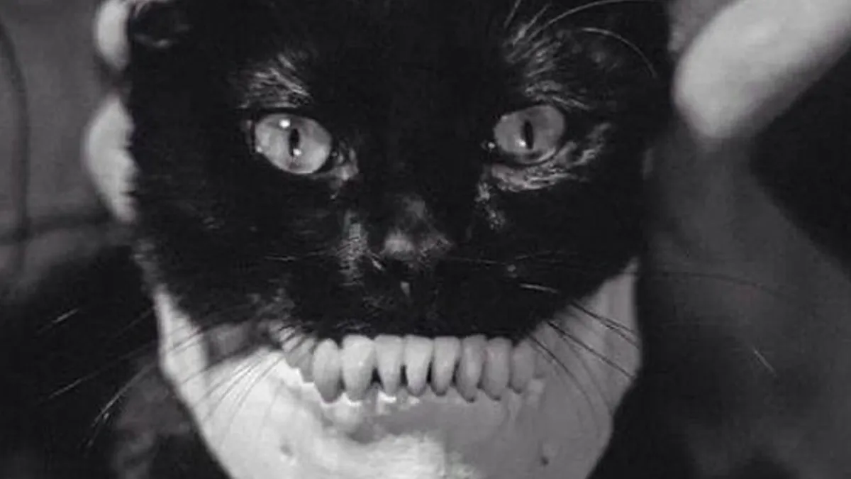 50 Weird History Pics That May Change How You See The Past