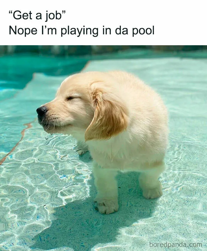 This IG Account Serves Only The Weirdest But Also Funniest Memes And Here Are 50 Of Them