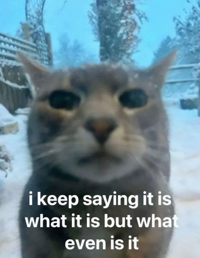 This IG Account Serves Only The Weirdest But Also Funniest Memes And Here Are 50 Of Them