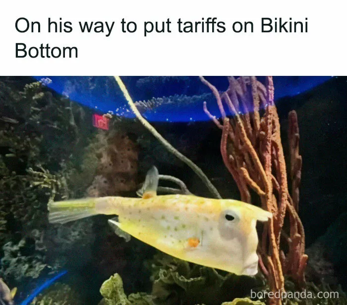 This IG Account Serves Only The Weirdest But Also Funniest Memes And Here Are 50 Of Them