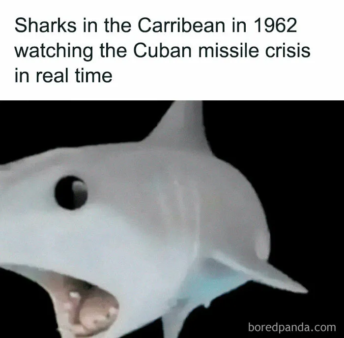 This IG Account Serves Only The Weirdest But Also Funniest Memes And Here Are 50 Of Them