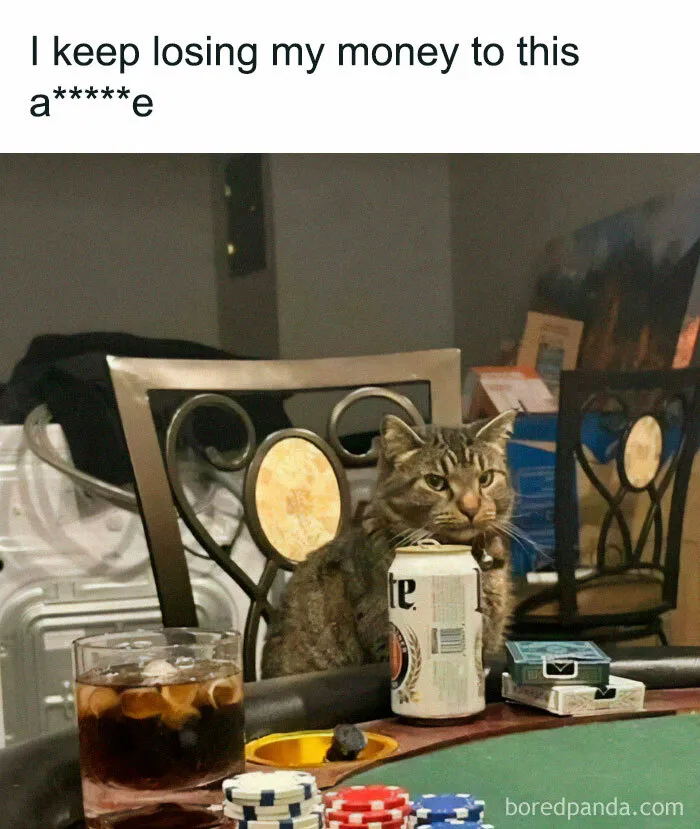 This IG Account Serves Only The Weirdest But Also Funniest Memes And Here Are 50 Of Them