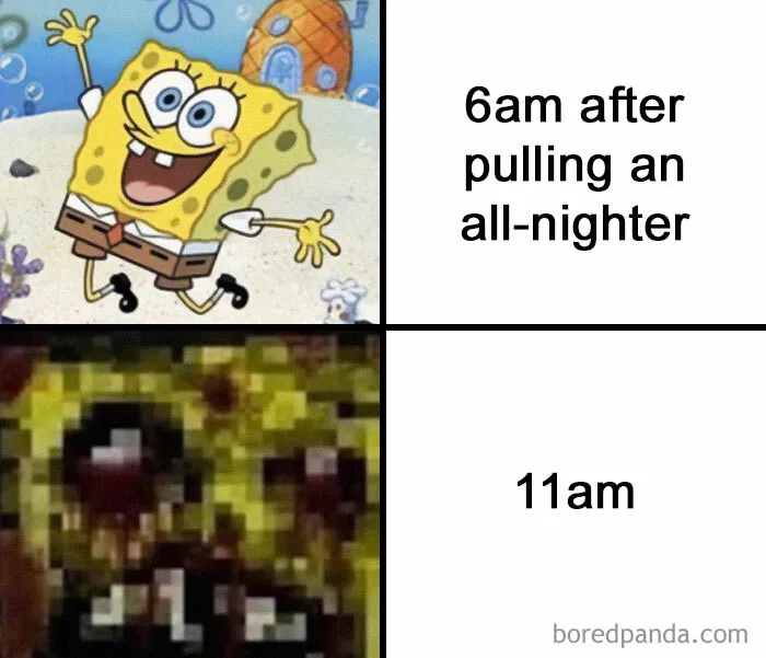 This IG Account Serves Only The Weirdest But Also Funniest Memes And Here Are 50 Of Them