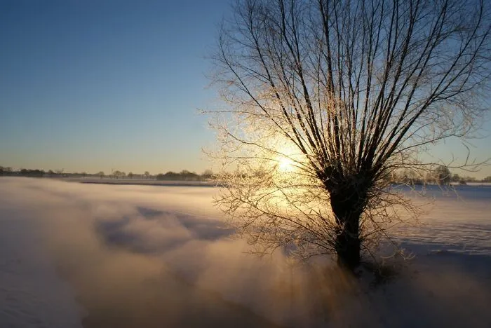 Snowy Sunrise