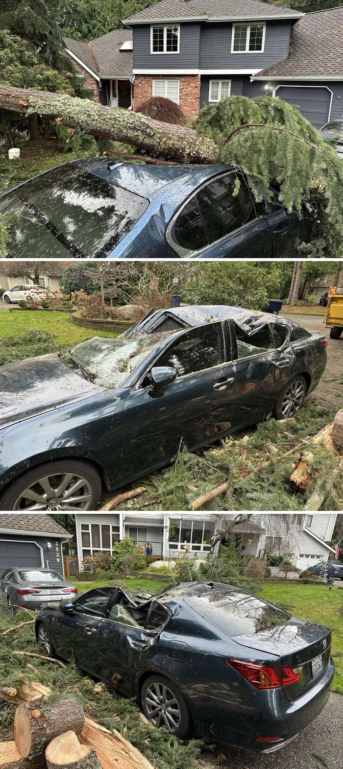 Rip My Car
