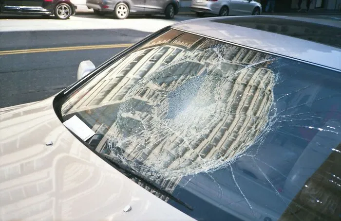 50 People Who Survived The Craziest Moments Of Their Lives
