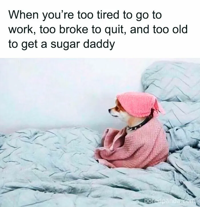 50 Unhinged Memes That Make Corporate Slavery Look Funny (New Pics)