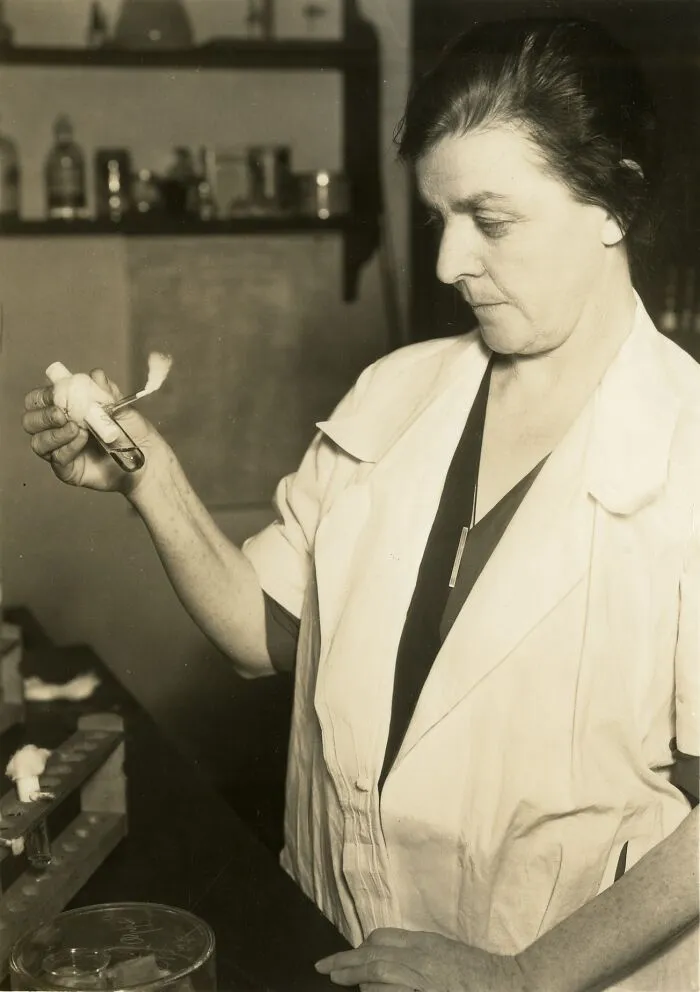 Agnes J. Quirk