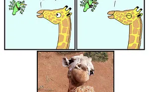 50 Animal Comics That Our Readers Loved The Most