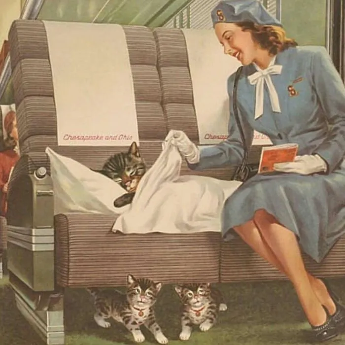 Mujer con uniforme cuidando a gatos adorables en asiento de tren vintage, mostrando imágenes de gatos protagonistas históricas.