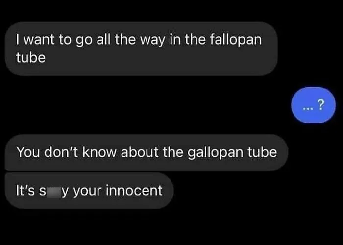 Text message exchange showing a cringy man awkwardly hitting on a woman with a confusing comment about the fallopian tube.