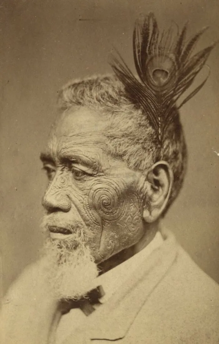 Maori Chief With Tattoed Face Wearing Peacock Feather