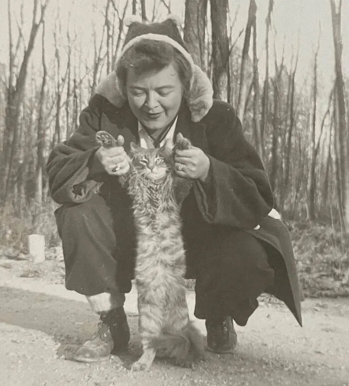 Mujer histórica jugando con gato adorable, mostrando imágenes de gatos siempre como protagonistas en la historia.