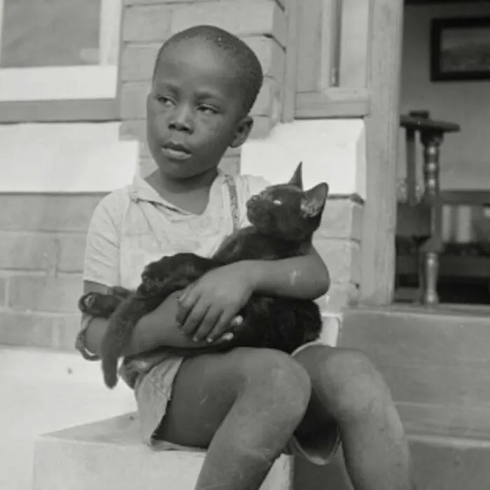 35 Adorables imágenes de gatos a través de la historia mostrando que siempre fueron los protagonistas