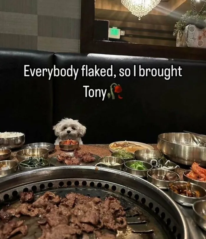 This IG Account Serves Only The Weirdest But Also Funniest Memes And Here Are 50 Of Them