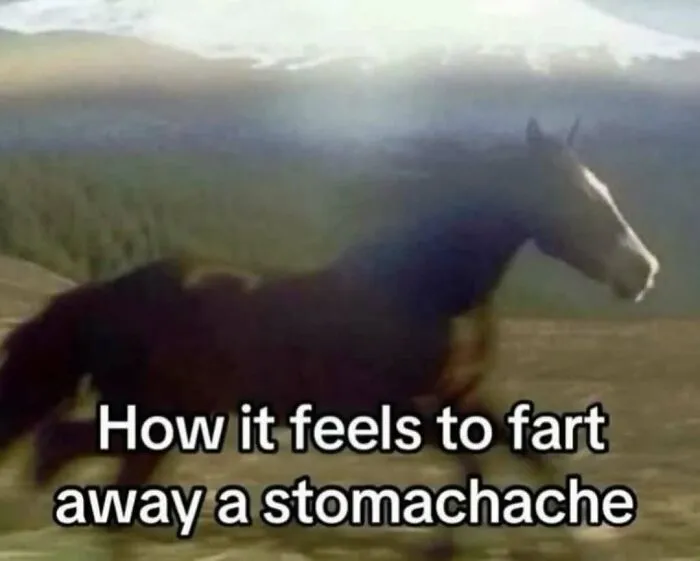 This IG Account Serves Only The Weirdest But Also Funniest Memes And Here Are 50 Of Them