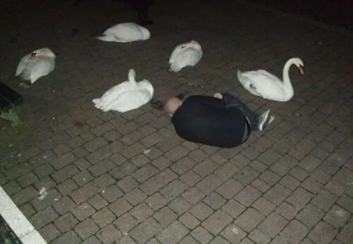 50 Cursed Images That Are Hard To Look At But Harder To Ignore (New Pics)