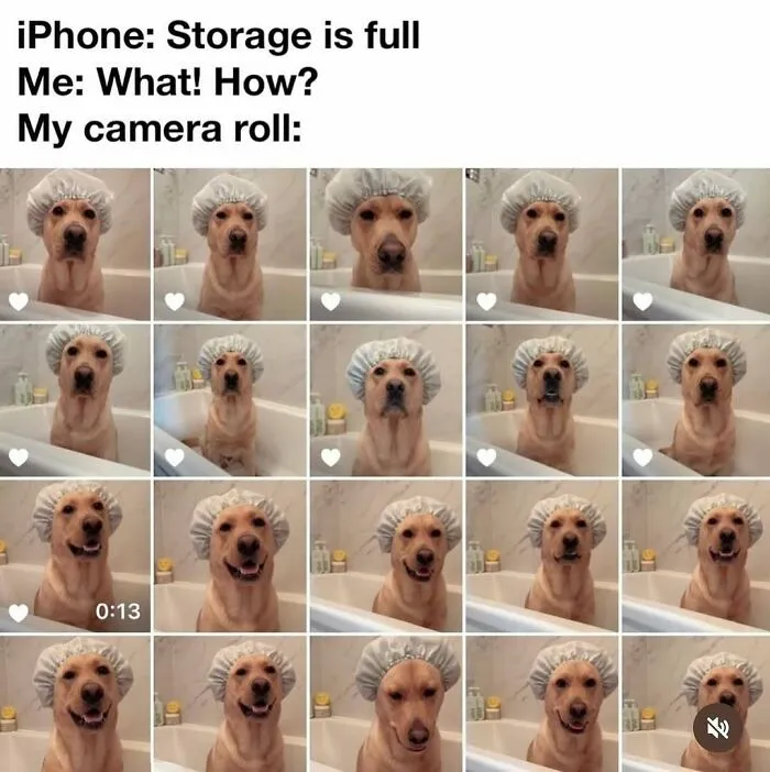 This Instagram Page Nails Antisocial Humor, Here Are 50 Of Their Best Memes