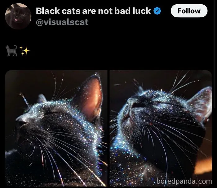 50 Posts And Memes You Probably Will Love As Much As Cats Love Catnip