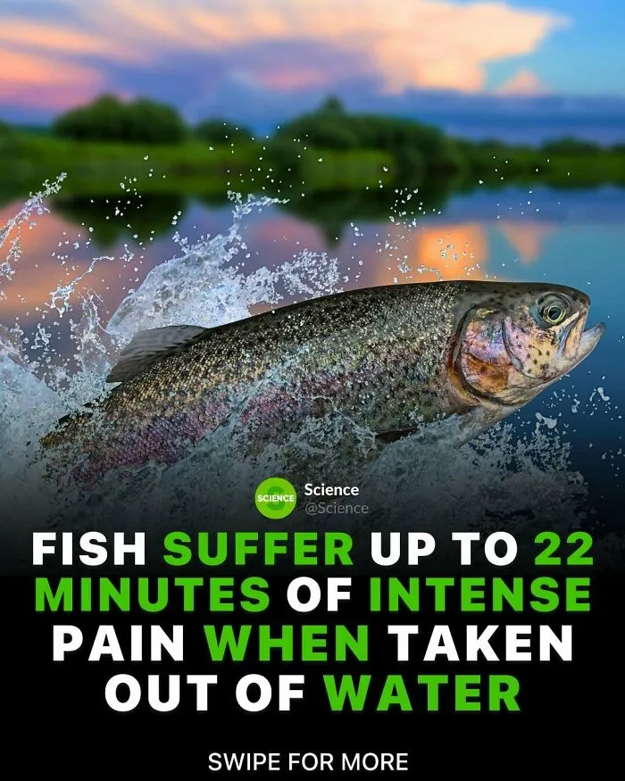 50 Awesome Facts For Those Who Want To Learn Something New
