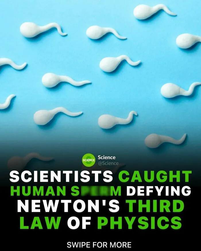 Scientists caught human sperm defying Newton's third law of physics, highlighting cool and interesting science facts.