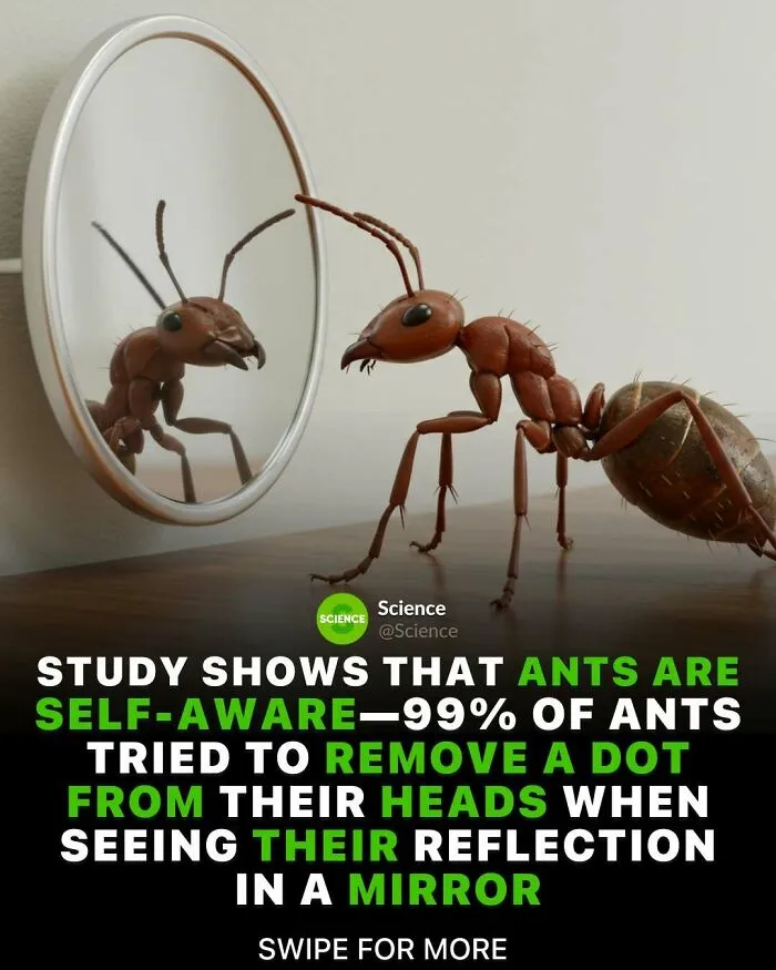 50 Awesome Facts For Those Who Want To Learn Something New